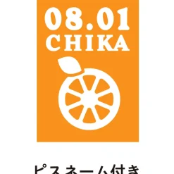 Love Live! Sunshine!! Season 2 Uranohoshi Girls' High School Store Birthday Present Set: Chika Takami Ver. Online