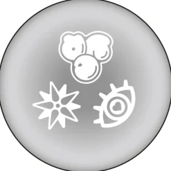 Collectable Toys><noscript><img width=