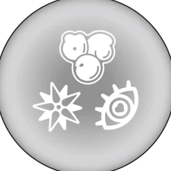 Collectable Toys><noscript><img width=