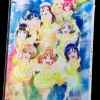 Love Live! Sunshine!! Uranohoshi Girls High School Store Layered Graph® Aqours 5th Love Live! ～Next SPARKLING!!～ Hot