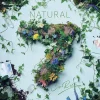 Other Music>NATURAL7 | CooRie 7th Album
