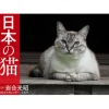 Nippon no Neko 2024 Calendar Hot