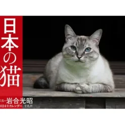 Nippon no Neko 2024 Calendar Hot