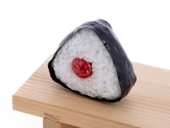 Plastic Models>Onigiri Plastic Model