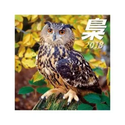 Owl 2018 Calendar Online