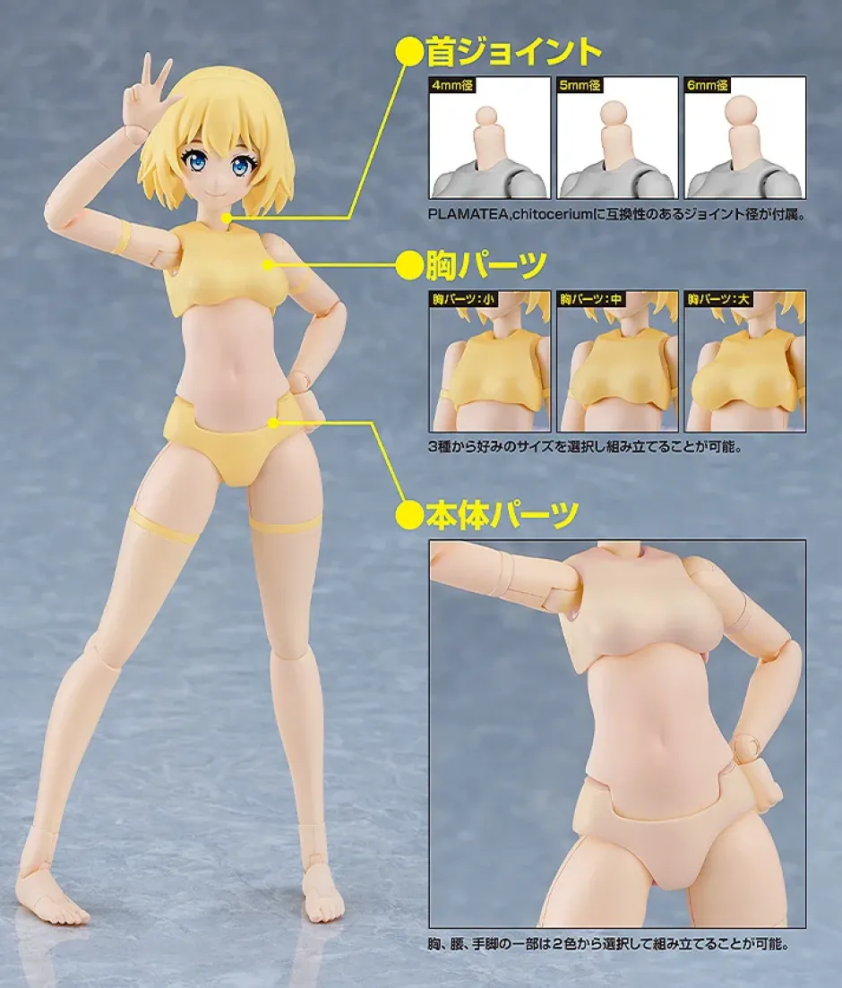 Plastic Models>PLAMATEA Muse Body: Ichika B Type