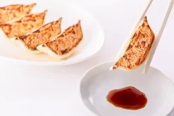 Plastic Model: Gyoza Best