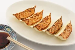 Plastic Model: Gyoza Best