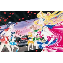 Pretty Guardian Sailor Moon 25th Anniversary Premium Frame Stamp Set w/ Pretty Guardians Member-Limited Clear Folder New
