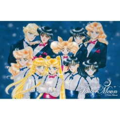 Pretty Guardian Sailor Moon 25th Anniversary Premium Frame Stamp Set w/ Pretty Guardians Member-Limited Clear Folder New