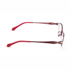Eyewear><noscript><img width=