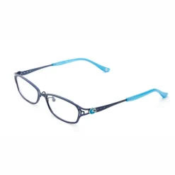 Eyewear><noscript><img width=