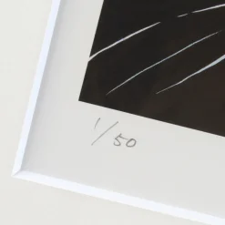 Fine Art><noscript><img width=