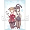 Blankets>Rascal Does Not Dream of Bunny Girl Senpai Mofufuwa Blanket