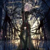 Fine Art|Acrylic Art Boards>redjuice Reproduction Art Print: Extraterrestrial Biological Entities