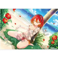 Shinobi Master Senran Kagura: New Link Visual Acrylic Plate Outlet