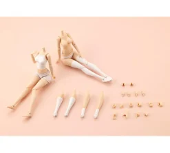 Plastic Models>Sousai Shojo Teien Dress Up Body [M] (Re-run)