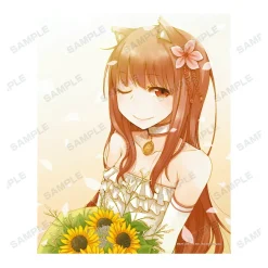 Spice and Wolf Holo Vol. 17 Cover Illustration Canvas Board Discount