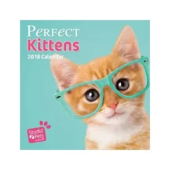 Stdudio Pets Cat 2018 Calendar Clearance