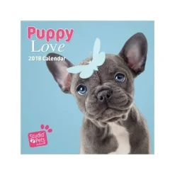 Calendars>Stdudio Pets Dog 2018 Calendar