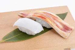 Sushi Plastic Model: Squid Best