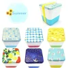 Bento Containers>temahima -atelier saison- Summer Lunch Box Collection