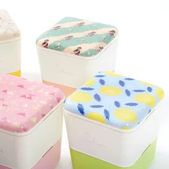 temahima -atelier saison- Spring Lunch Box Collection Discount