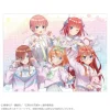 Blankets>The Quintessential Quintuplets Specials 2 Blanket Yumekawa School Uniform Ver.