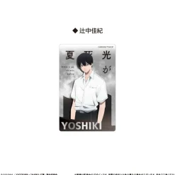 Other Goods>The Summer Hikaru Died Glitter Acrylic Block Yoshiki Tsujinaka