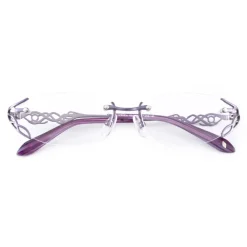 Eyewear><noscript><img width=