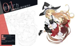 Touhou Project Illustration Drawing Techniques Using Paint Tool Fire Alpaca Sale