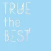 TRUE the BEST CD Album Regular Edition (2-Disc Set) New