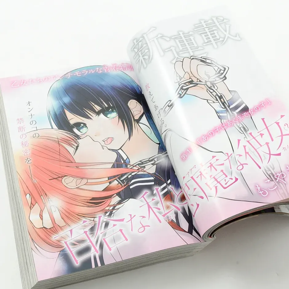 Anime & Manga Magazines>Young Ace June 2015 w/ Bonus Fate/Stay Night Clear File & The Disappearance of Yuki Nagato-chan Giant Poster